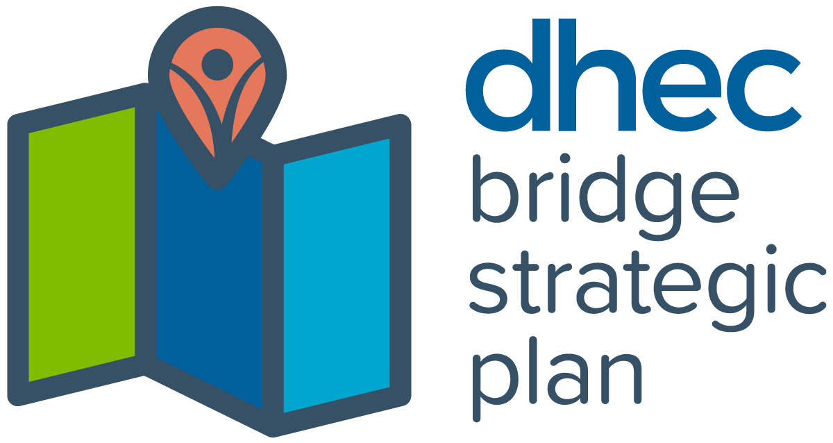 DHEC Bridge Strategic Plan