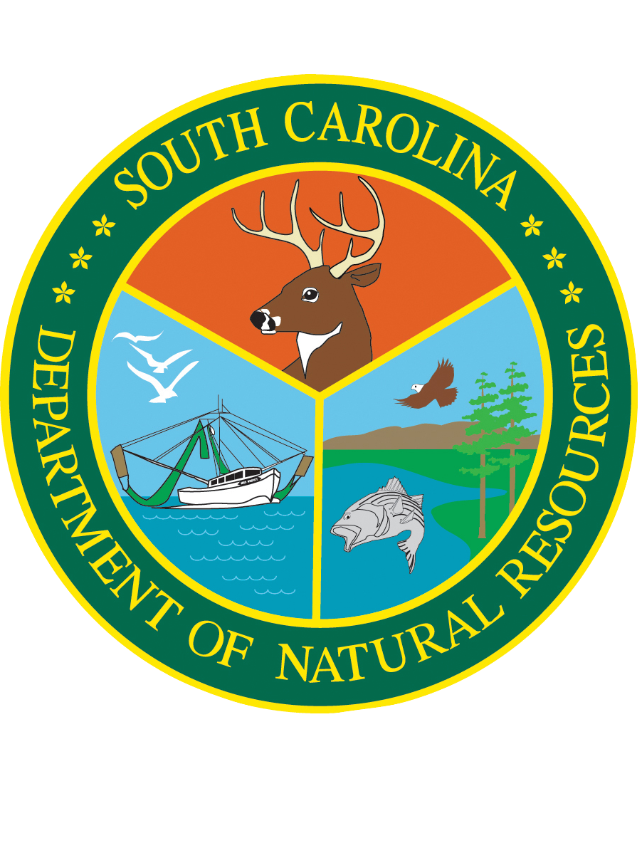Department of Natural Resources Logo