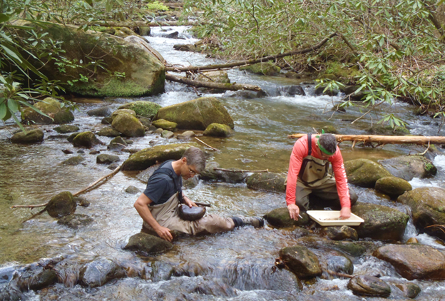 Biologists from DHEC's Aquatic Science Programs (ASP) sample streams across South Carolina by collecting macroinvertebrates.