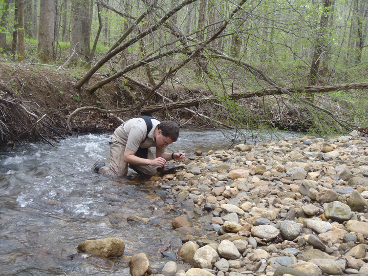 Biologists from DHEC's Aquatic Science Programs (ASP) sample streams across South Carolina by collecting macroinvertebrates 