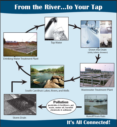 From the River...to Your Tap. It's All Connected!
